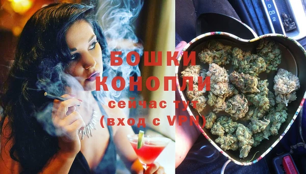 молекула духа Аркадак