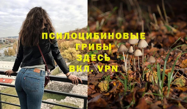 ешки Баксан