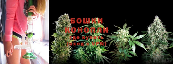 молекула духа Аркадак