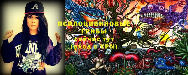 молекула духа Аркадак