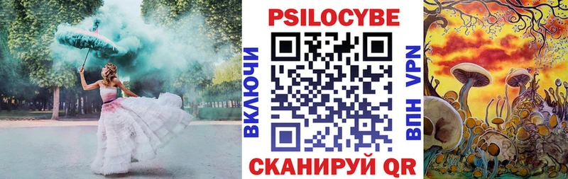Галлюциногенные грибы GOLDEN TEACHER  Купить где  Родники 
